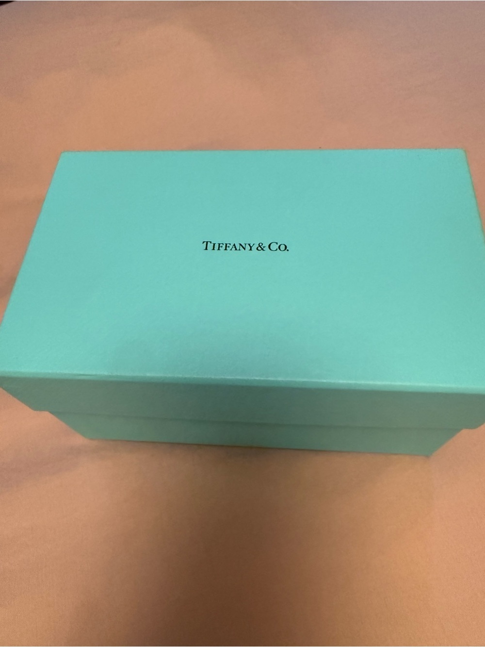 Tiffany & Co. Robin's Egg Blue Presentation Box
